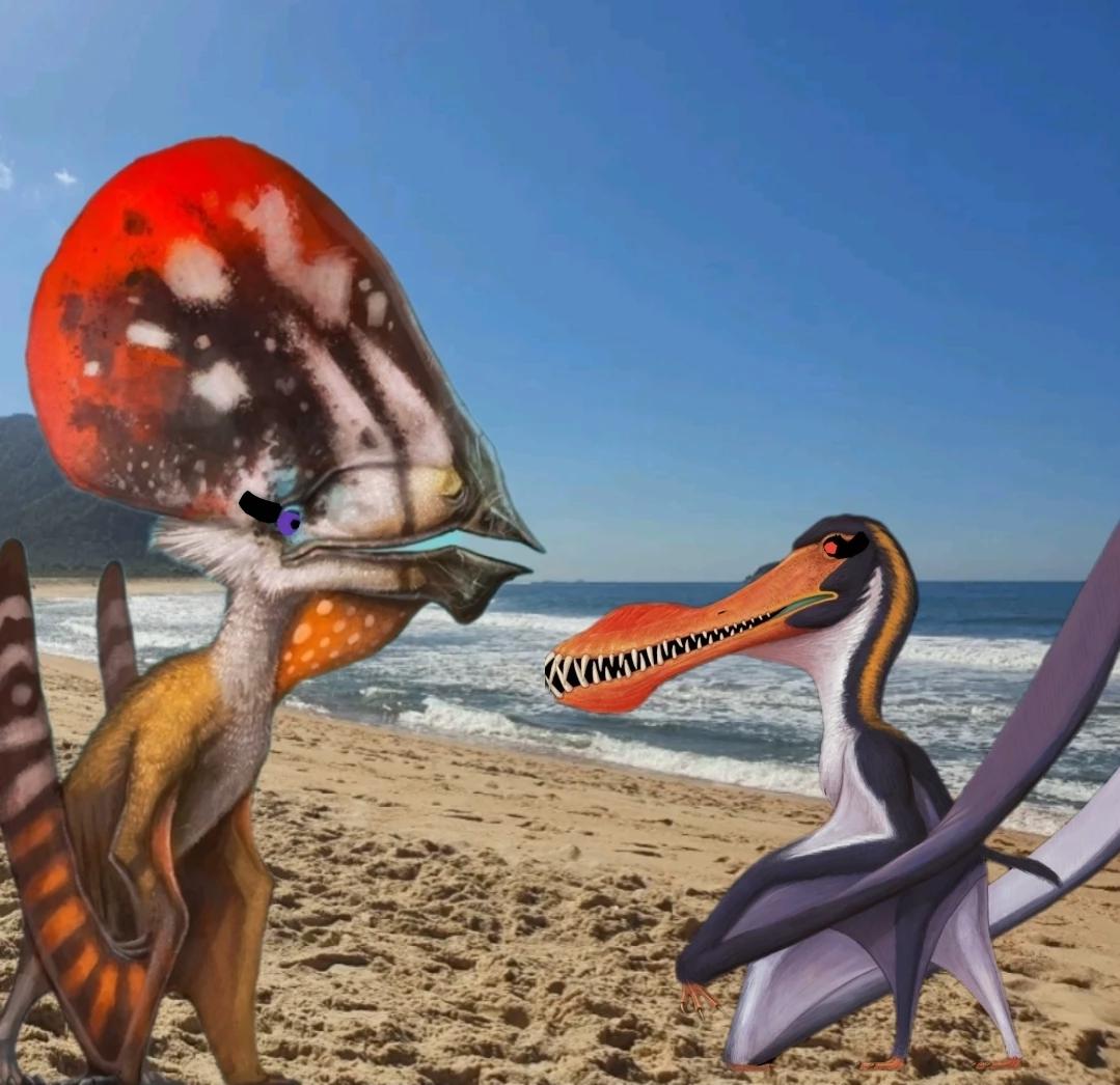 Tupin x Aninha thumbnail