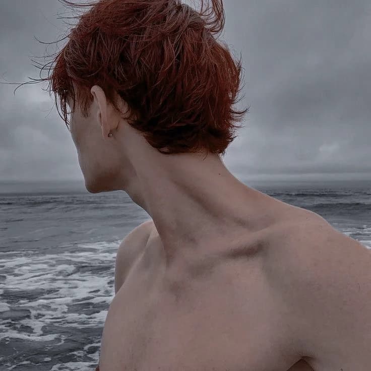Adonis thumbnail