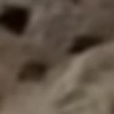 Elara Silverbrook thumbnail
