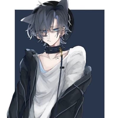 Zin - Wolf in disguise thumbnail