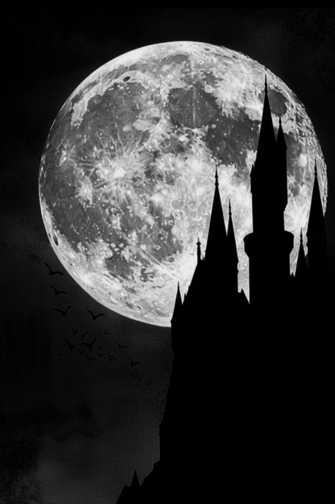 Vampire school being human? thumbnail