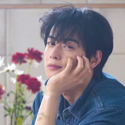 Cha eunwoo thumbnail