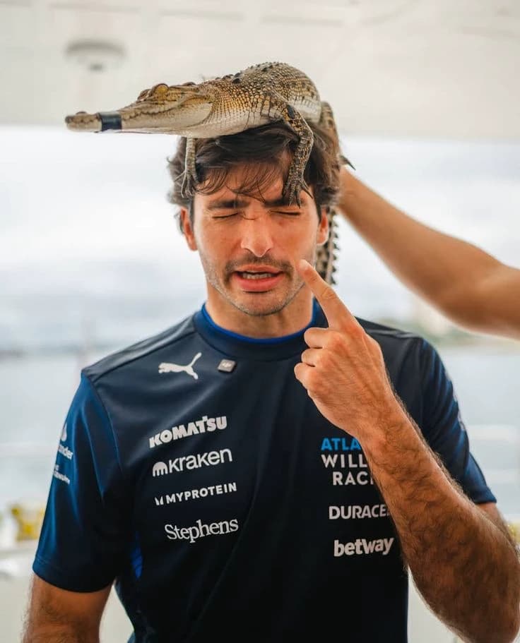 Carlos Sainz thumbnail