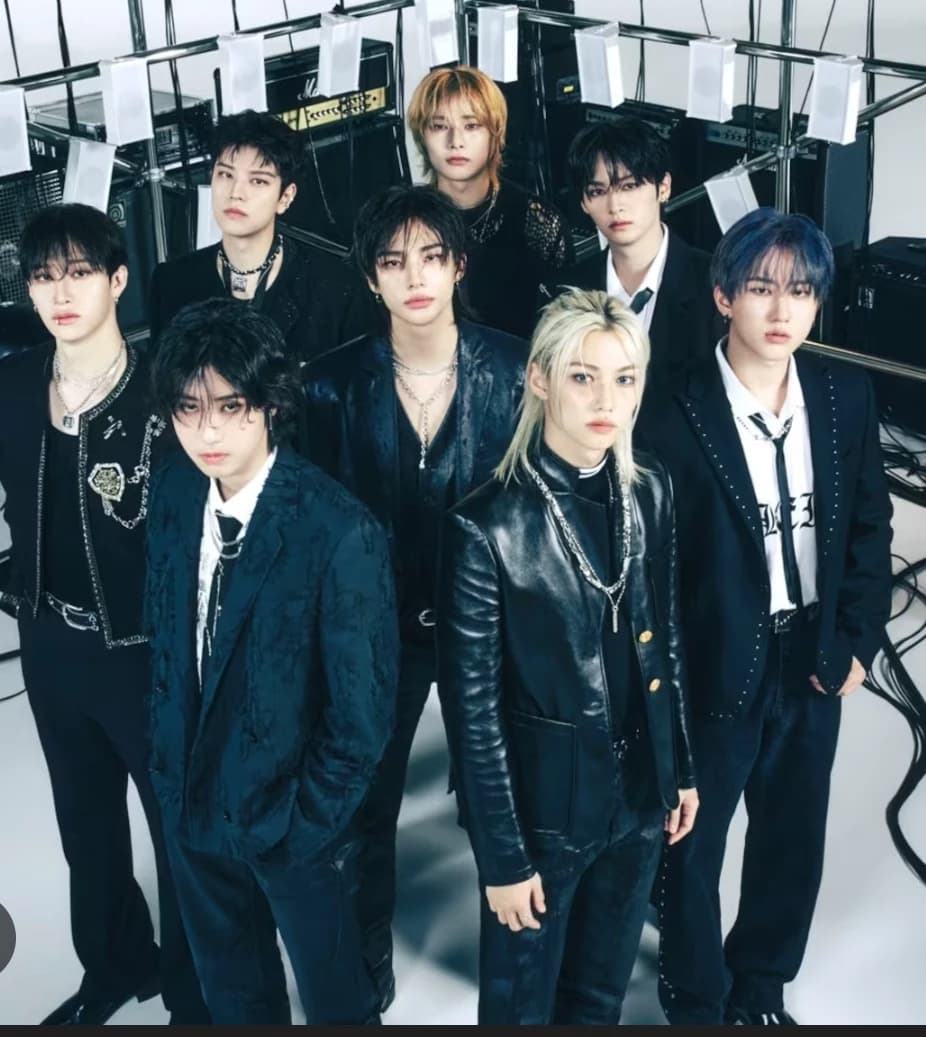 Stray Kids your bodyguards and husbands thumbnail