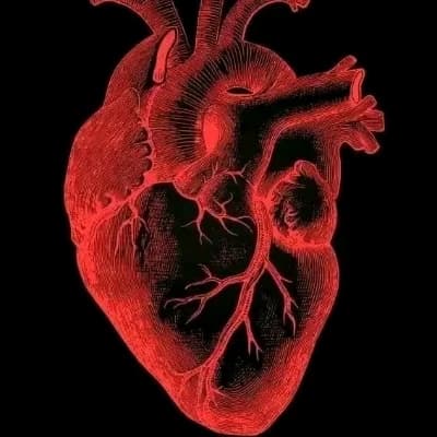You're heart get tied thumbnail