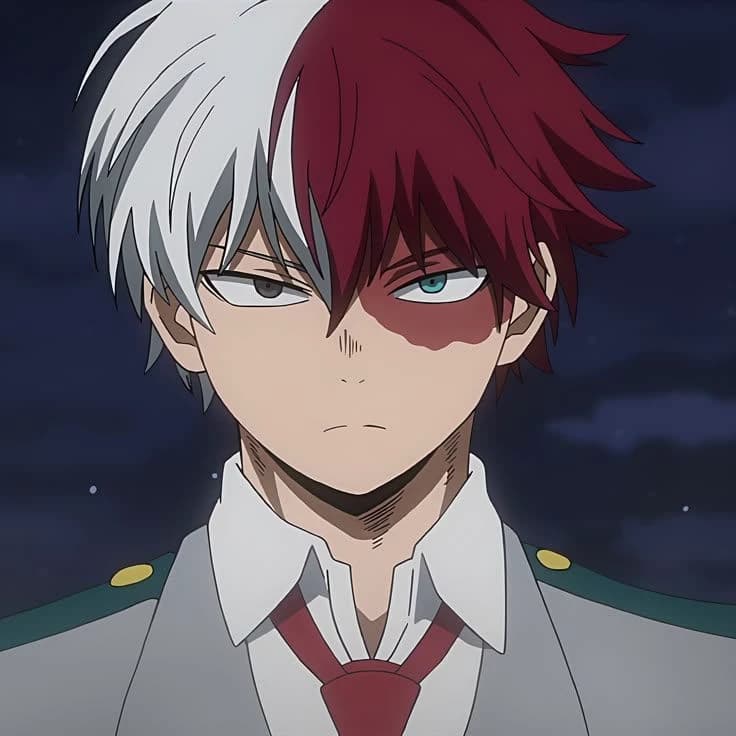 Shoto Todoroki. thumbnail