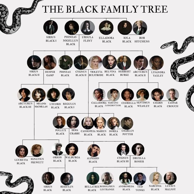 Black Family thumbnail