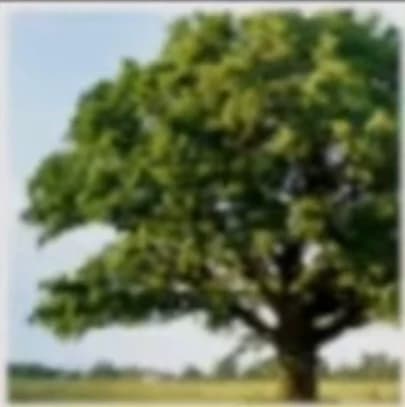 Create your story thumbnail