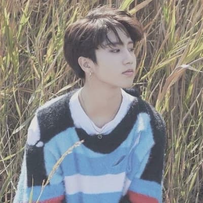 Han Jiseon(skz) thumbnail