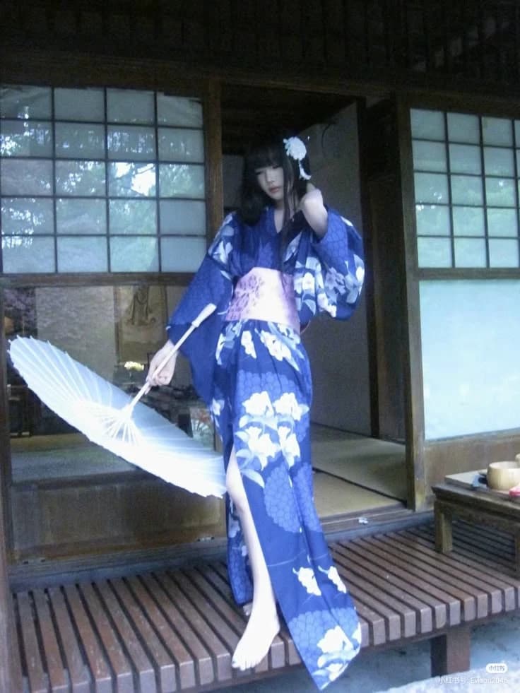 Geisha thumbnail
