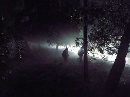 The Forgetting Fog (記憶霧) thumbnail