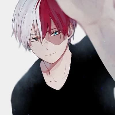 Shoto Todoroki (her boyfriend) thumbnail