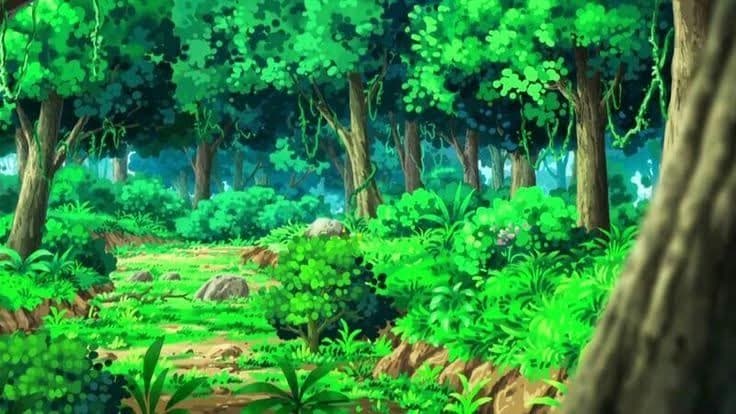 Bosque pokemon thumbnail