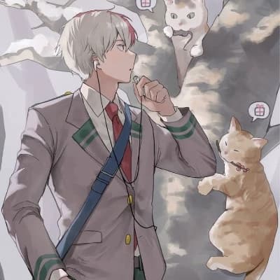 Shot Todoroki thumbnail