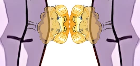Cornelia's Head Fraction with Cornelia's Butt Passing Gas thumbnail