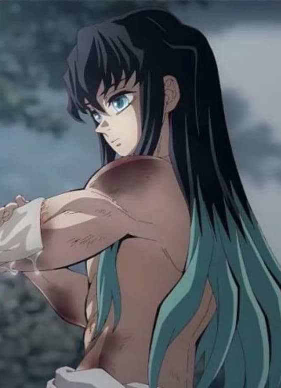 Tokito Muichiro thumbnail