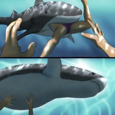 Great white shark. thumbnail