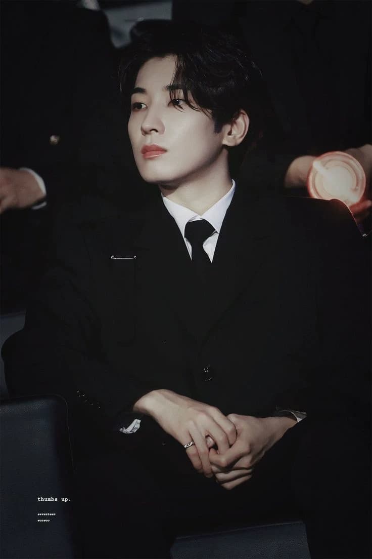 Jeon Wonwoo thumbnail