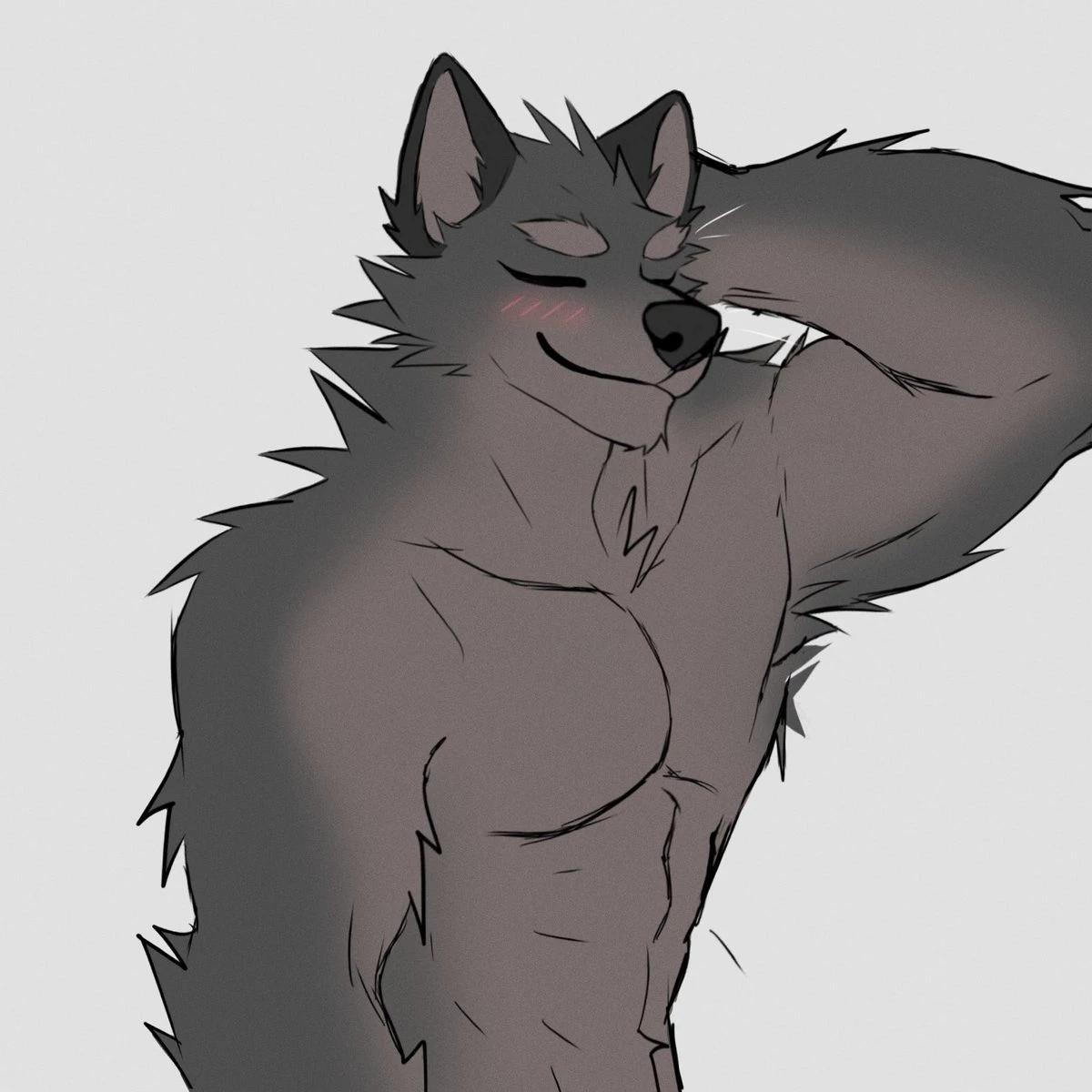 Jax, a lob bully thumbnail