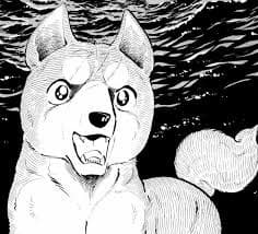 Gin thumbnail