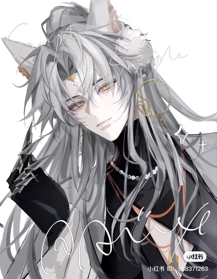 Zane / Grey Wolf /Alpha / thumbnail