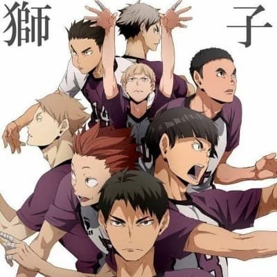 Shiratorizawa Team thumbnail