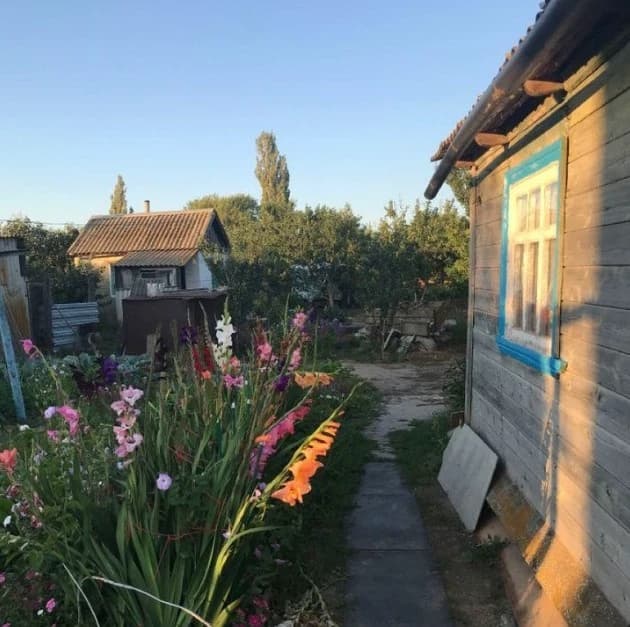 Summer in the Country thumbnail