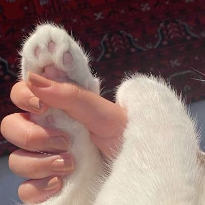 Heeseung thumbnail