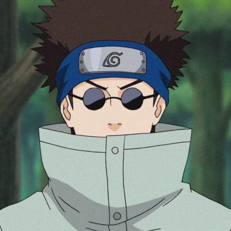 Shino aburame thumbnail