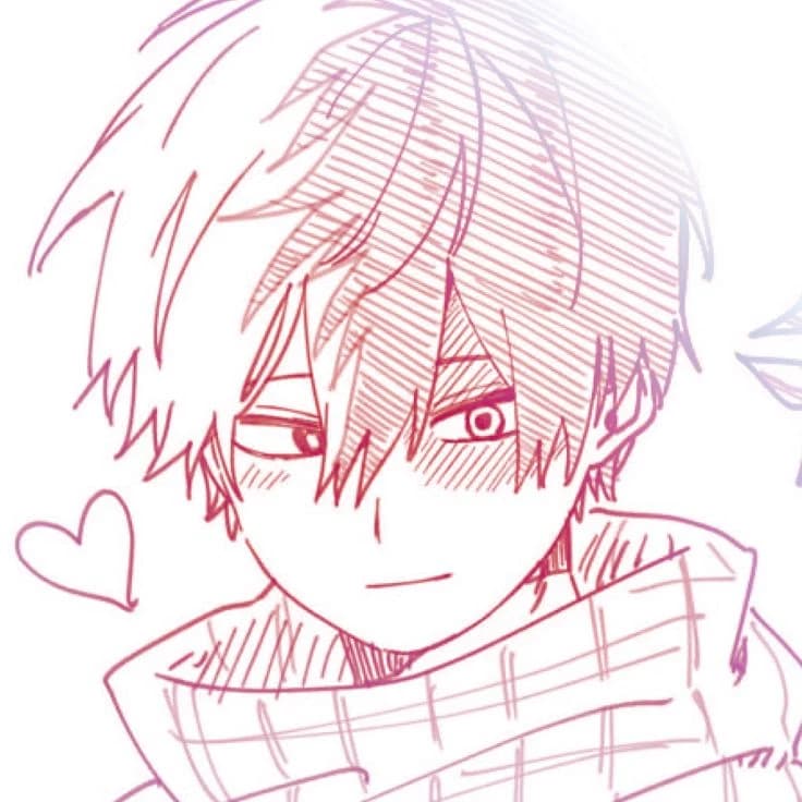 Shoto Todoroki thumbnail