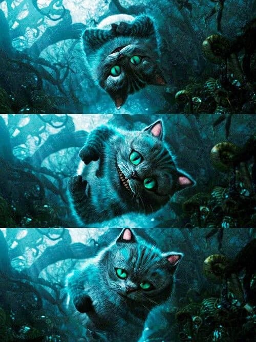 Cheshire Cat thumbnail