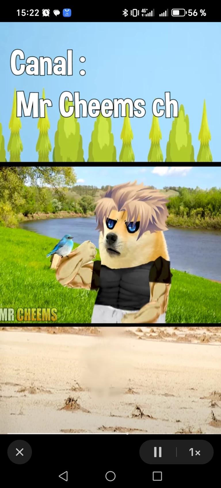 Mr Cheems Ch thumbnail