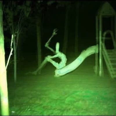 The Slide Monster thumbnail