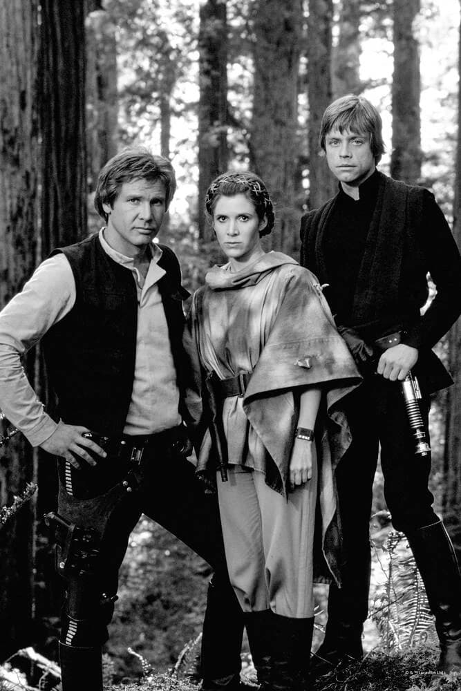 Luke,Han,and Leia thumbnail