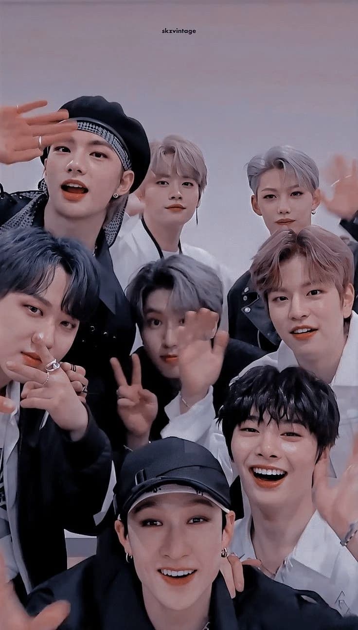Stray kids(^o^)/ thumbnail