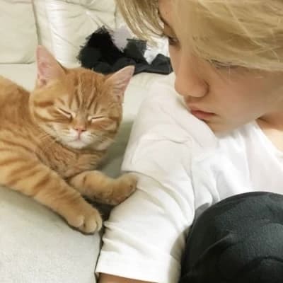 Lee felix thumbnail