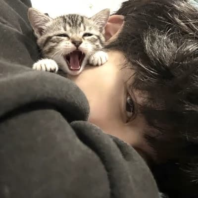 Ryen thumbnail