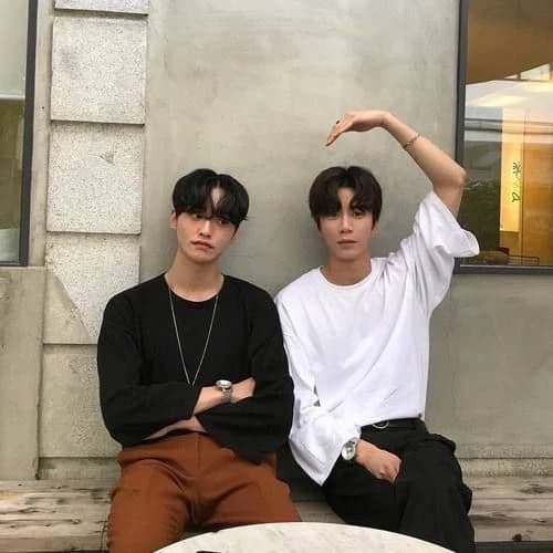 Twins thumbnail