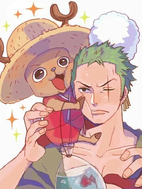 ★Chopper y Zoro★ thumbnail