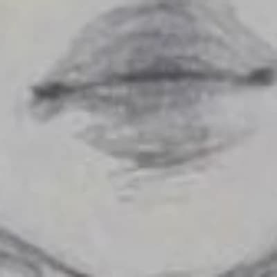 Julian Thorne thumbnail
