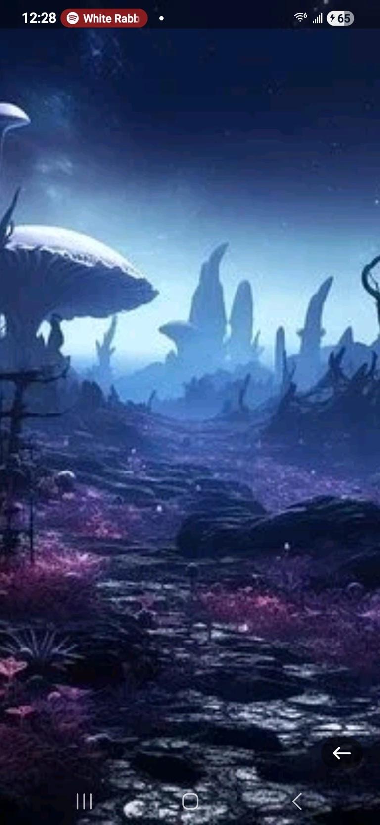 Wonderland thumbnail