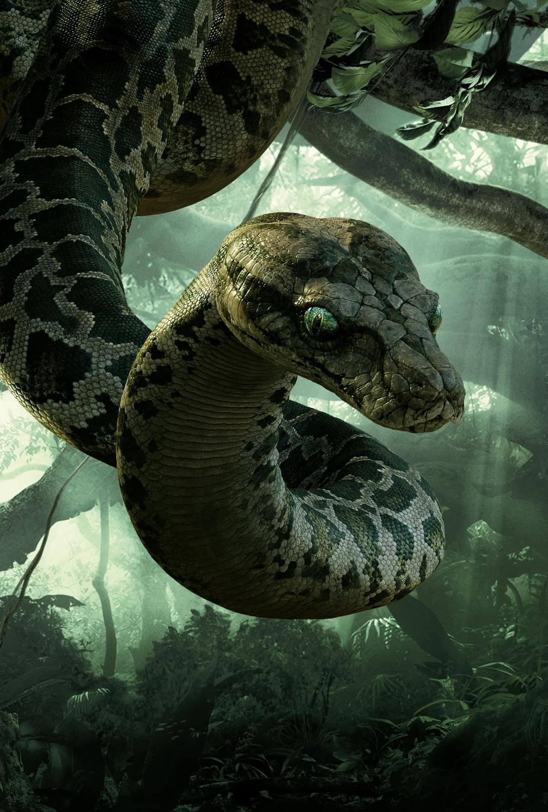 Kaa (female) Meeting in the jungle thumbnail