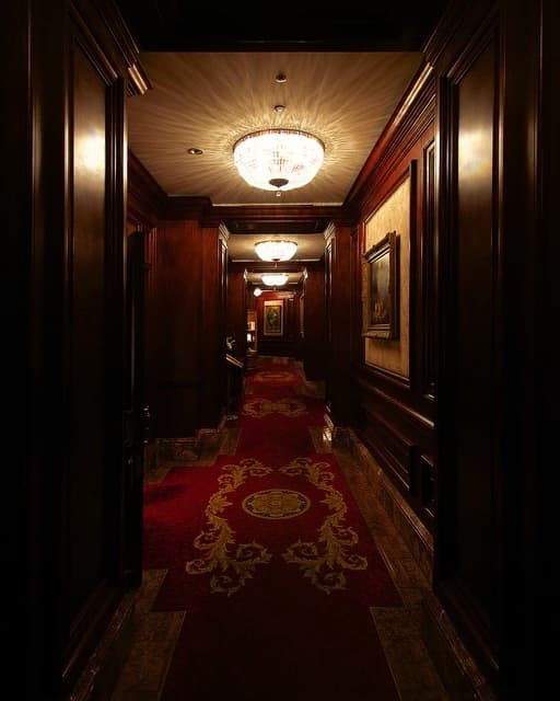 The luxury hotel thumbnail