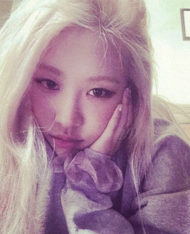 Rosé thumbnail