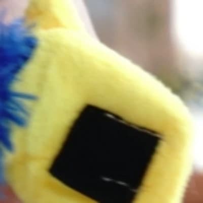 S.N.E.B. thumbnail