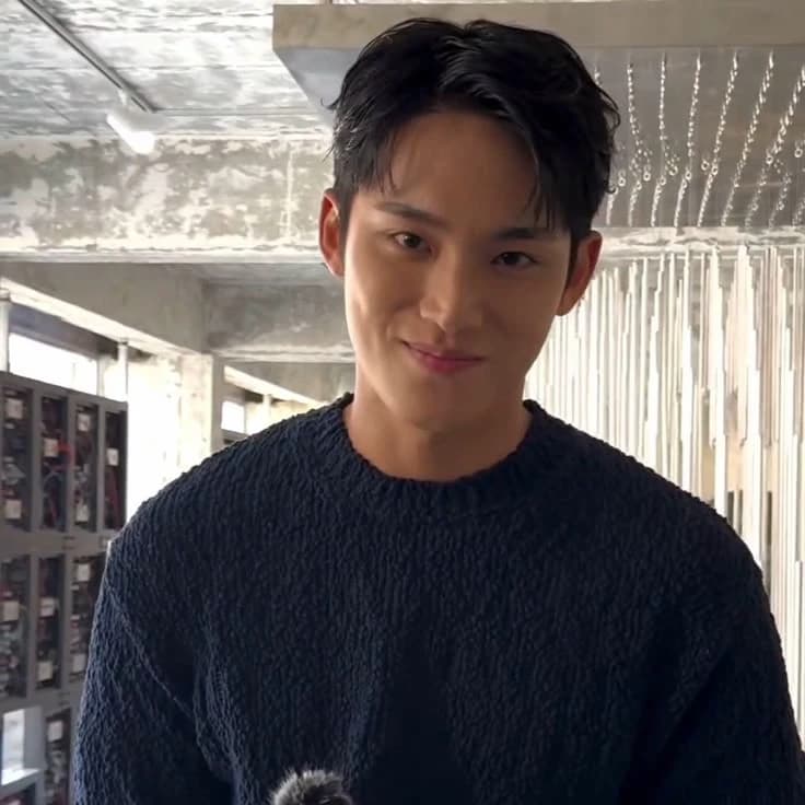 Kim Mingyu Hogwarts thumbnail
