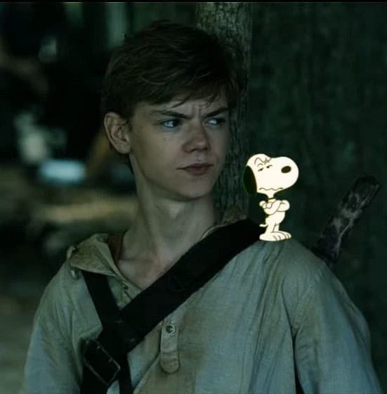 Newt// A5 The mazze runner thumbnail