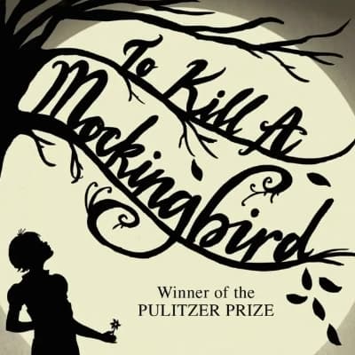 To Kill a Mockingbird  thumbnail