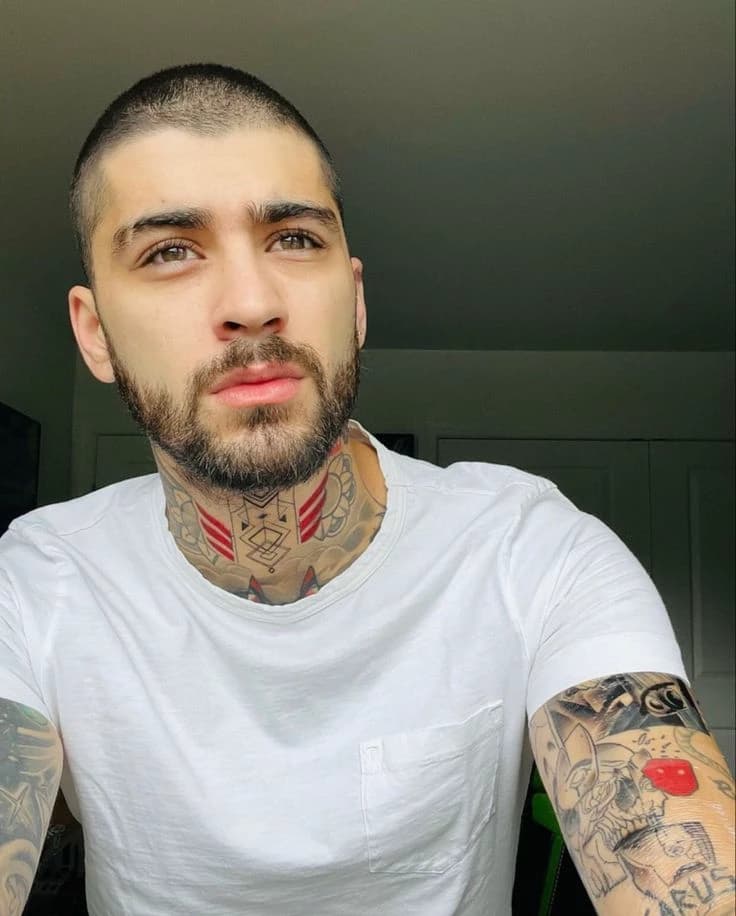 ZAYN thumbnail