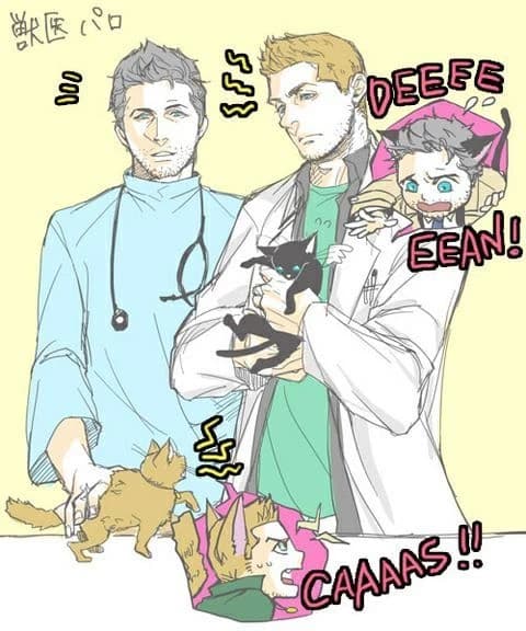 Veterinarian thumbnail